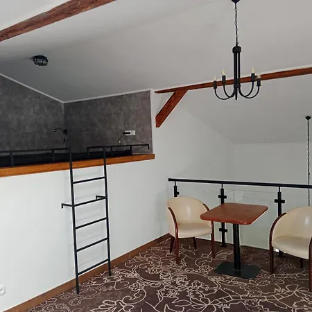 Apartment Goscinne Atelier *